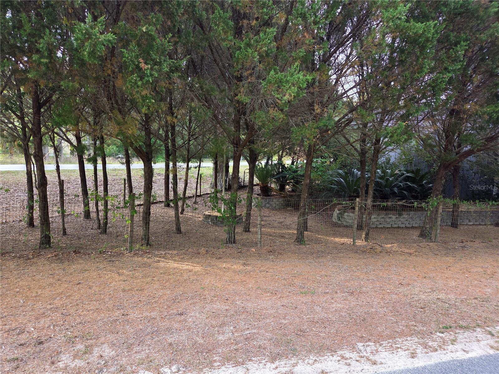 421 Margaret St Property Photo 75