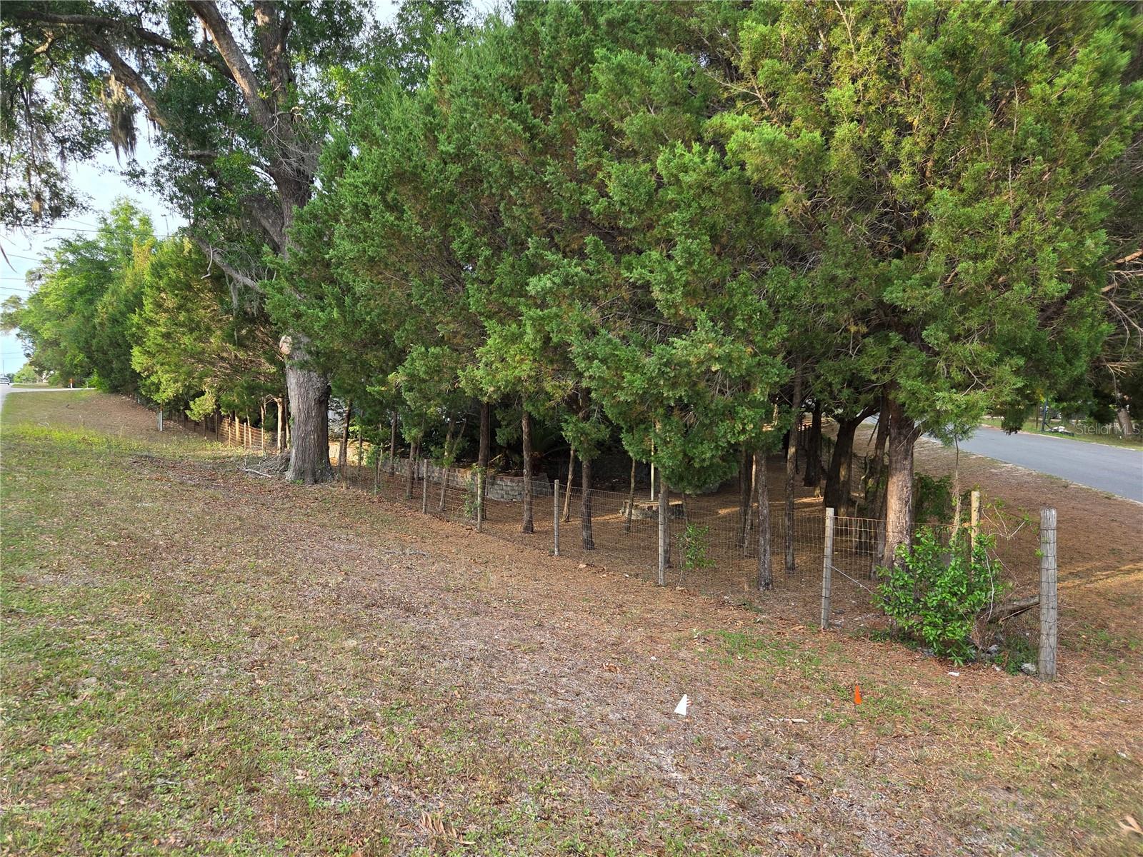421 Margaret St Property Photo 77