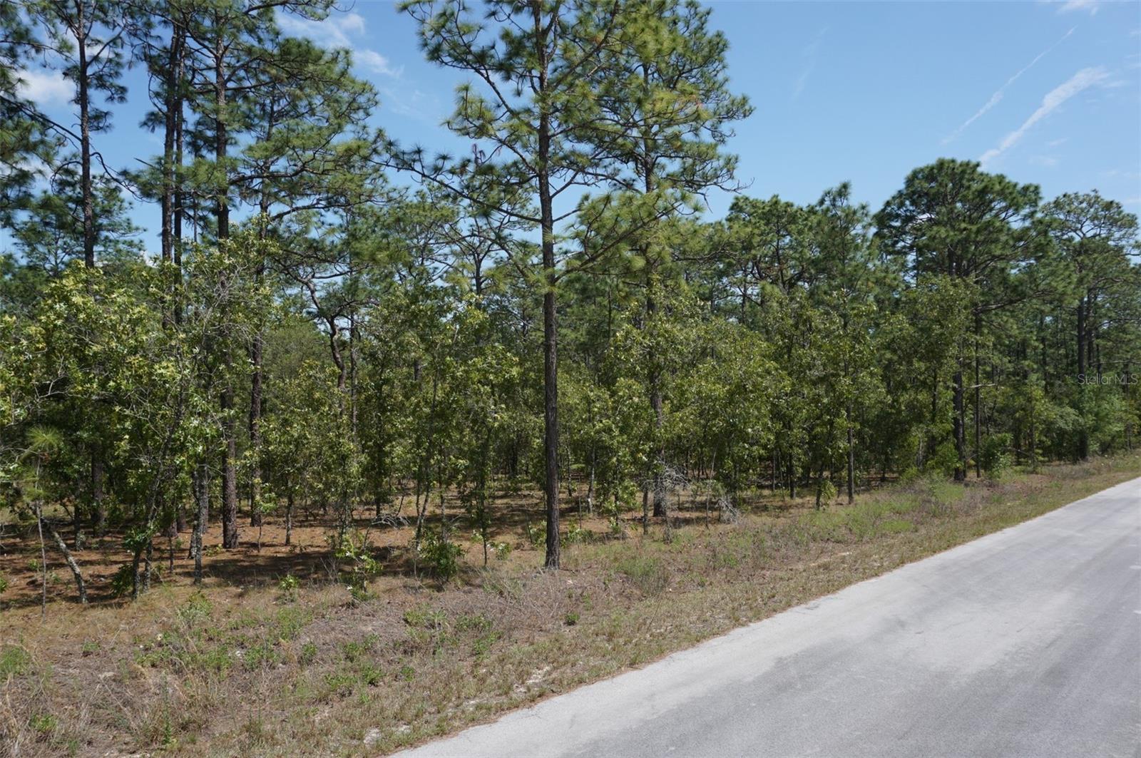 TBD NW TREE TOP RD Property Photo 1