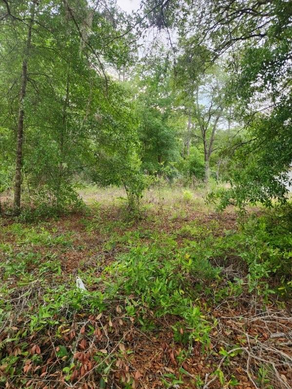 00 Marion Oaks Pass Property Photo 2