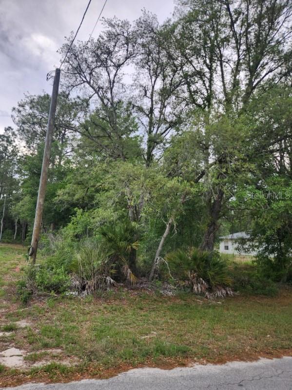 00 Marion Oaks Pass Property Photo 3