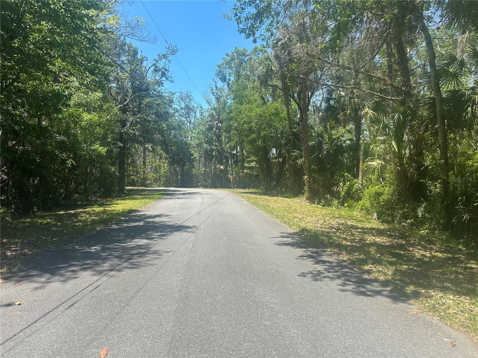 650 Miller Creek Rd Property Photo 5