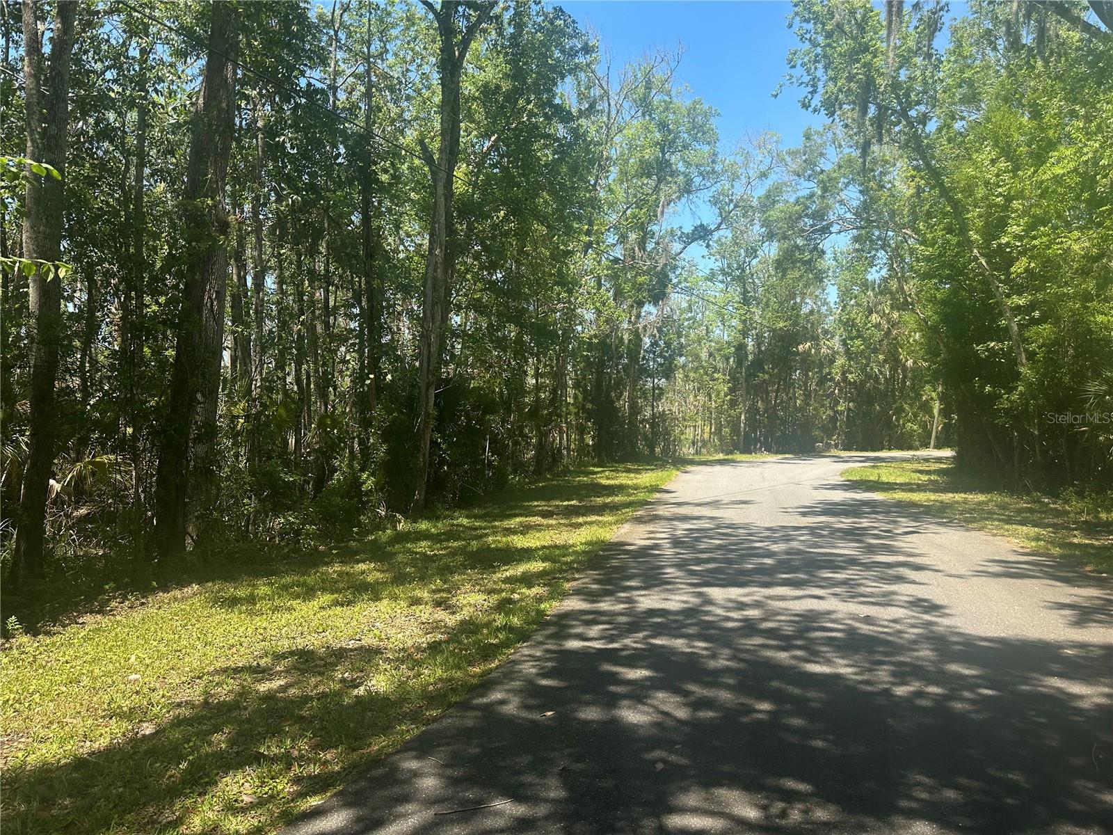 650 Miller Creek Rd Property Photo 6