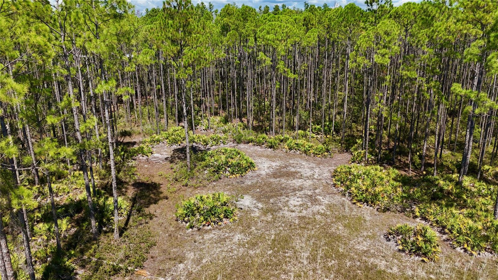 Key Deer Ct, Property Photo 3