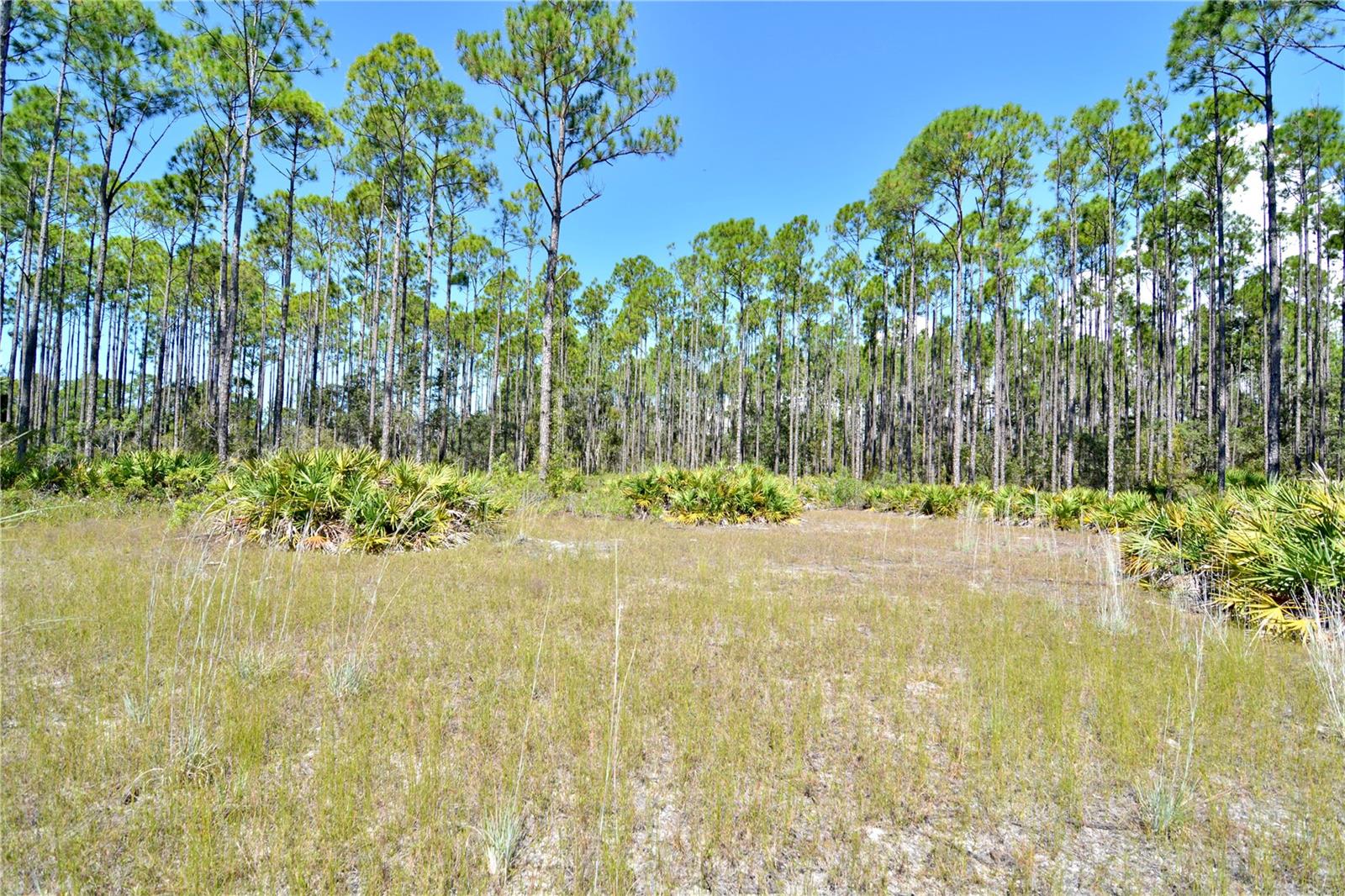 Key Deer Ct, Property Photo 9