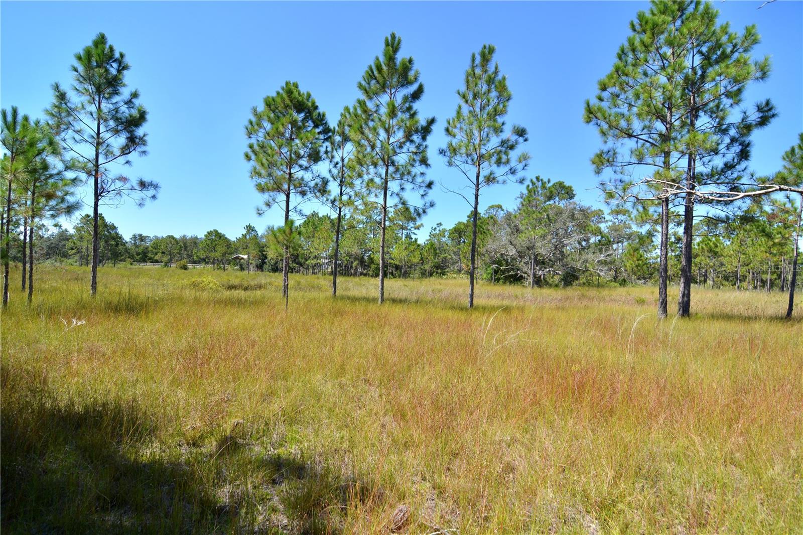 Key Deer Ct, Property Photo 11