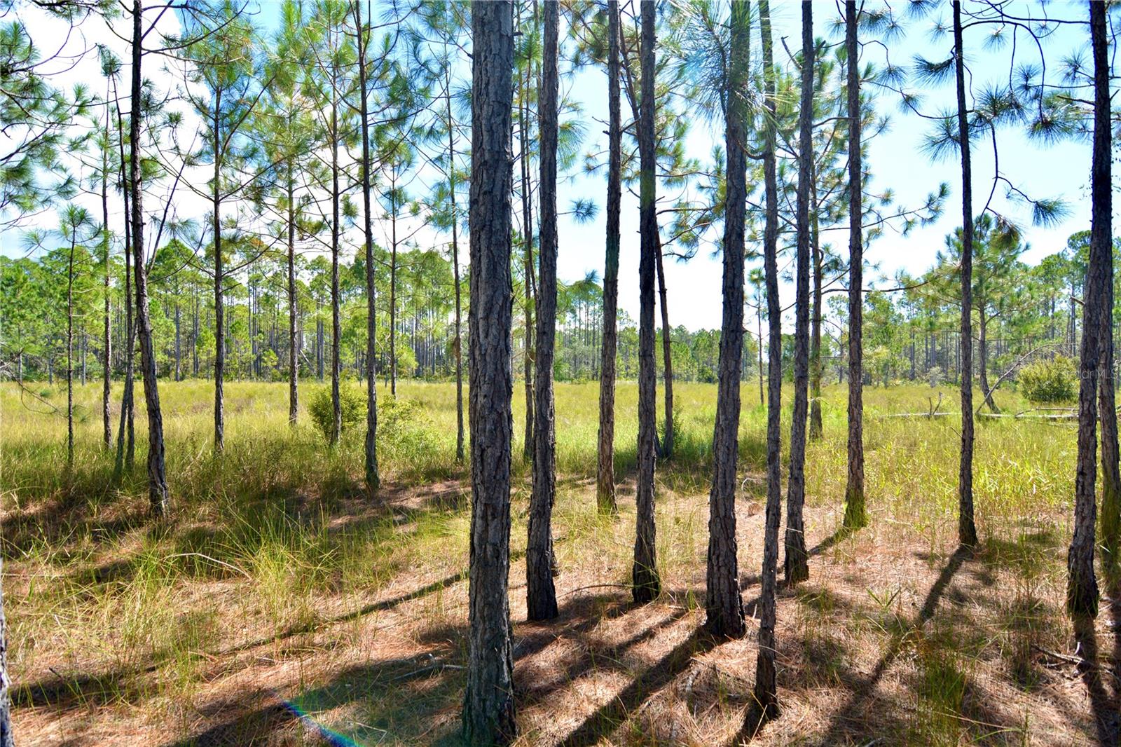 Key Deer Ct, Property Photo 13