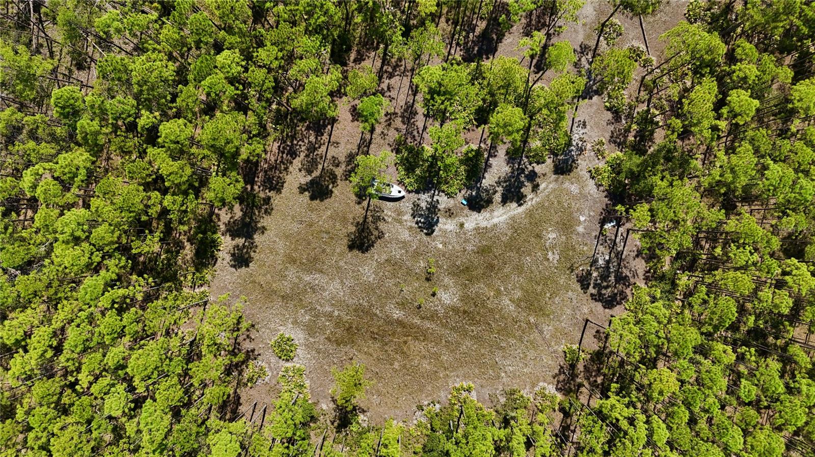 Key Deer Ct, Property Photo 17