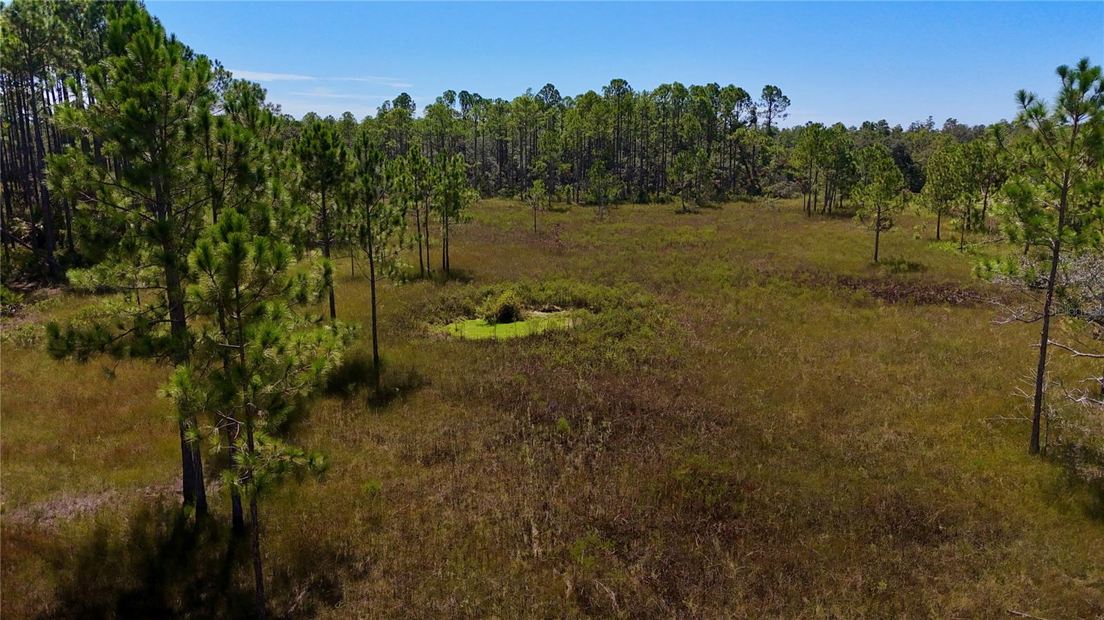 Key Deer Ct, Property Photo 18