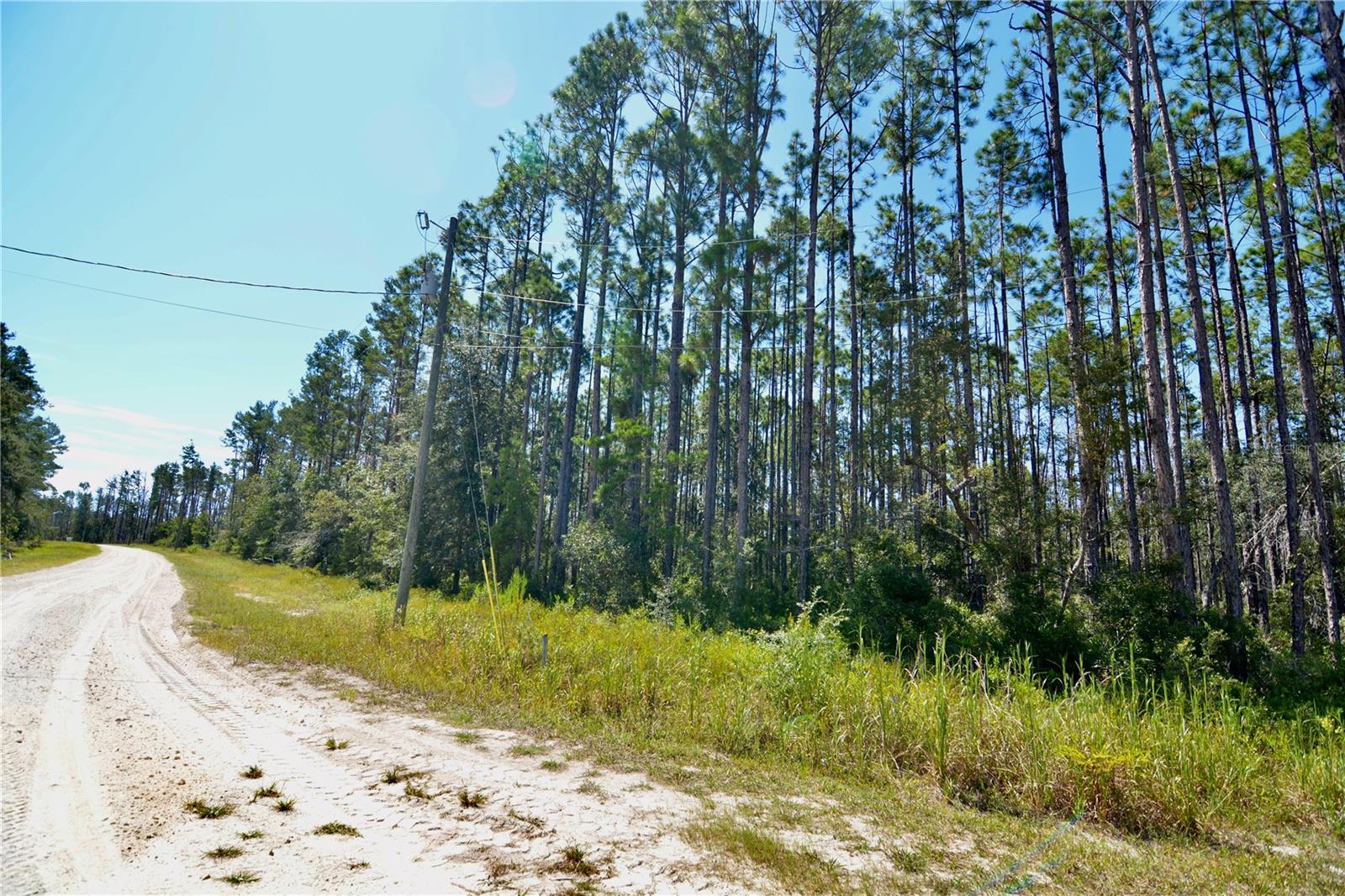 Key Deer Ct, Property Photo 22