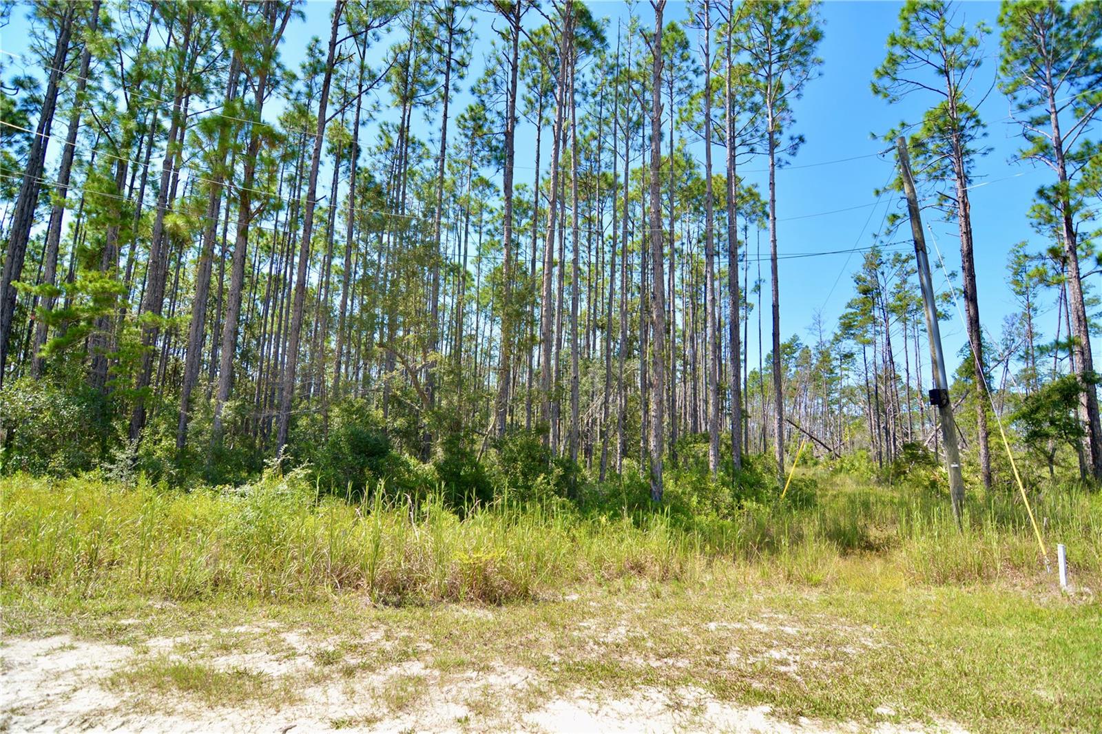 Key Deer Ct, Property Photo 23
