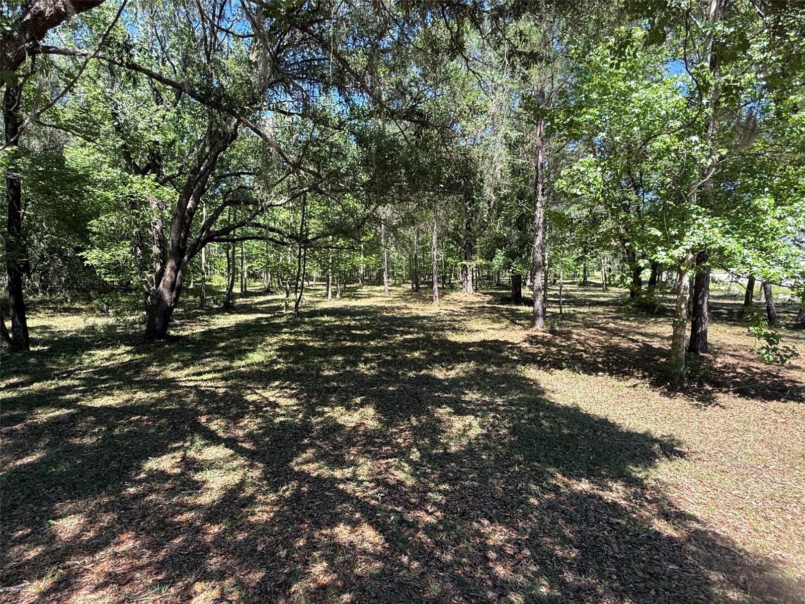 0 NW 145 AVE Property Photo 1