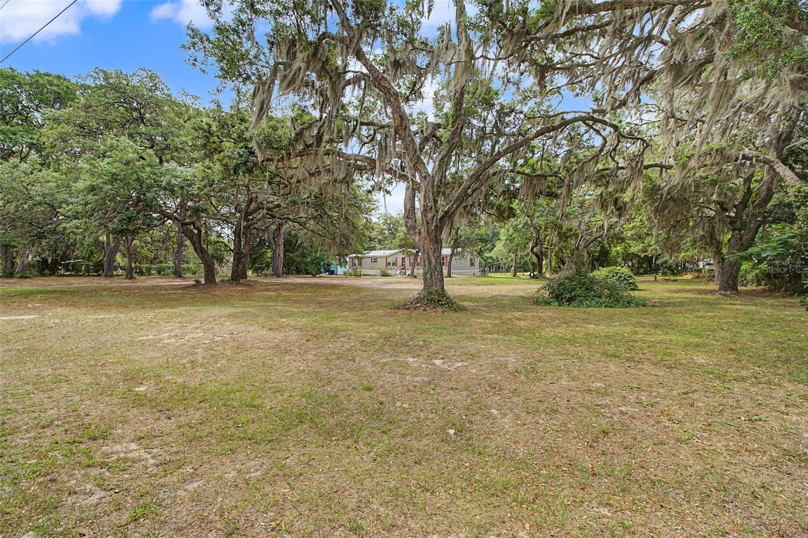 8186 E Windsong St Property Photo 6