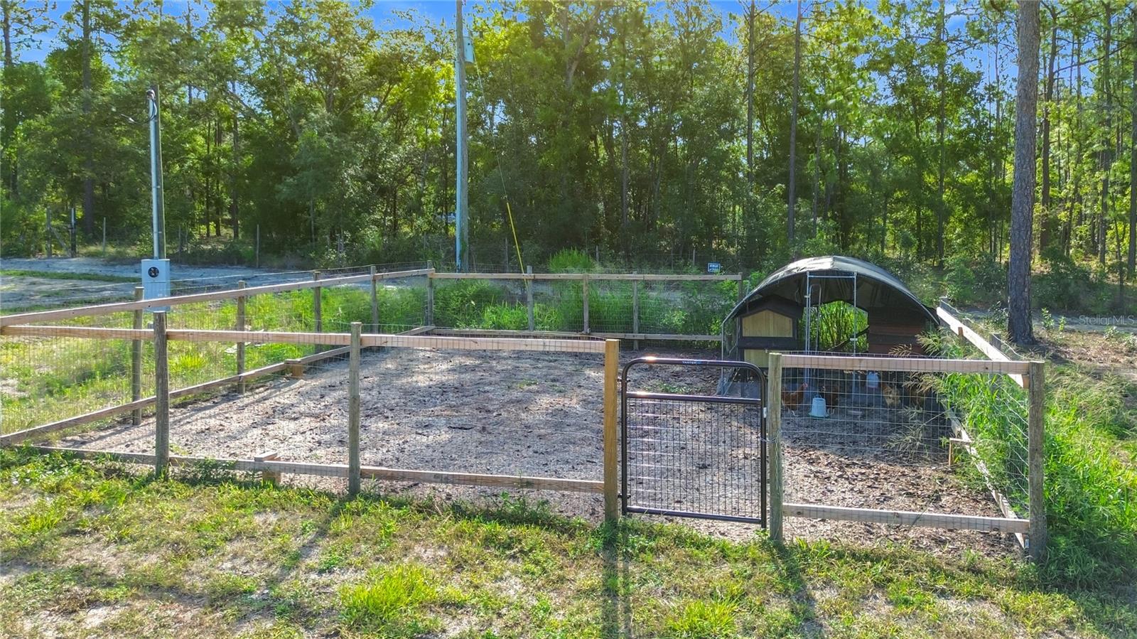 15204 Ganster Dr Property Photo 23