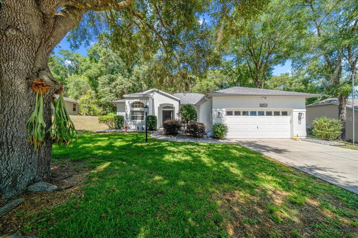 8859 SW 196TH AVENUE RD