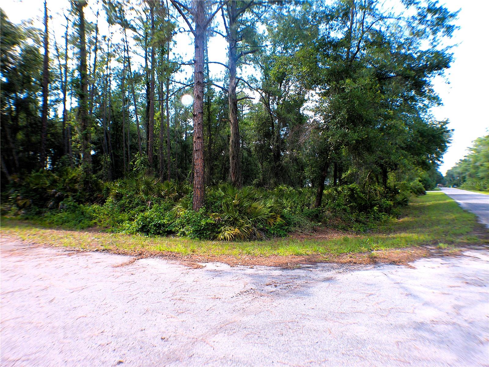 SEQUOIA DR Property Photo 1