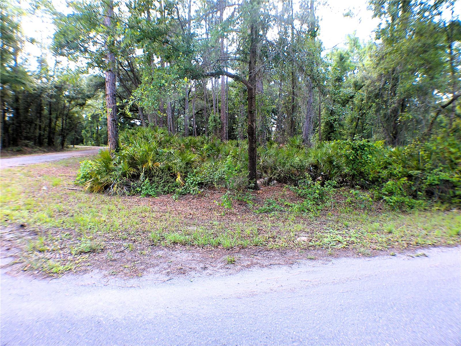 Sequoia Dr Property Photo 2
