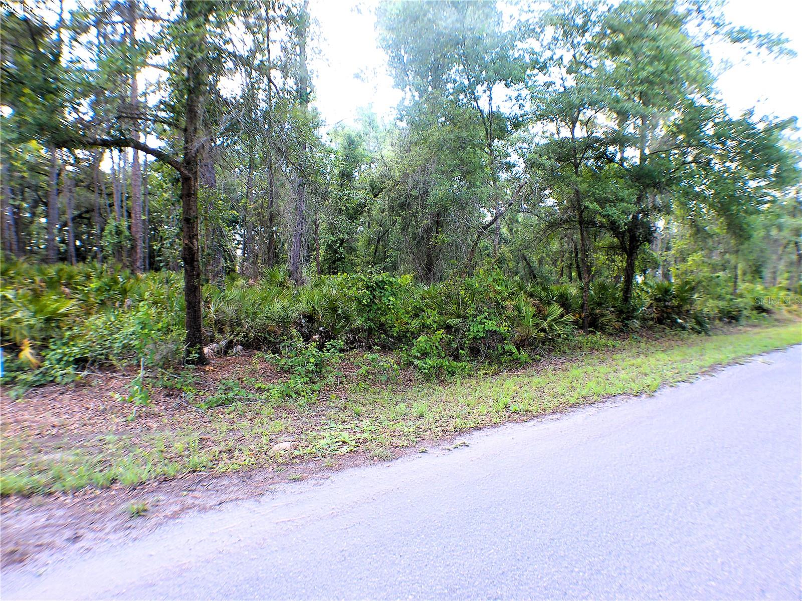 Sequoia Dr Property Photo 3