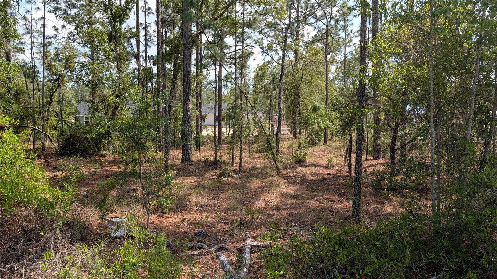 Lot 32 Nw Hemlock Ave Property Photo 5