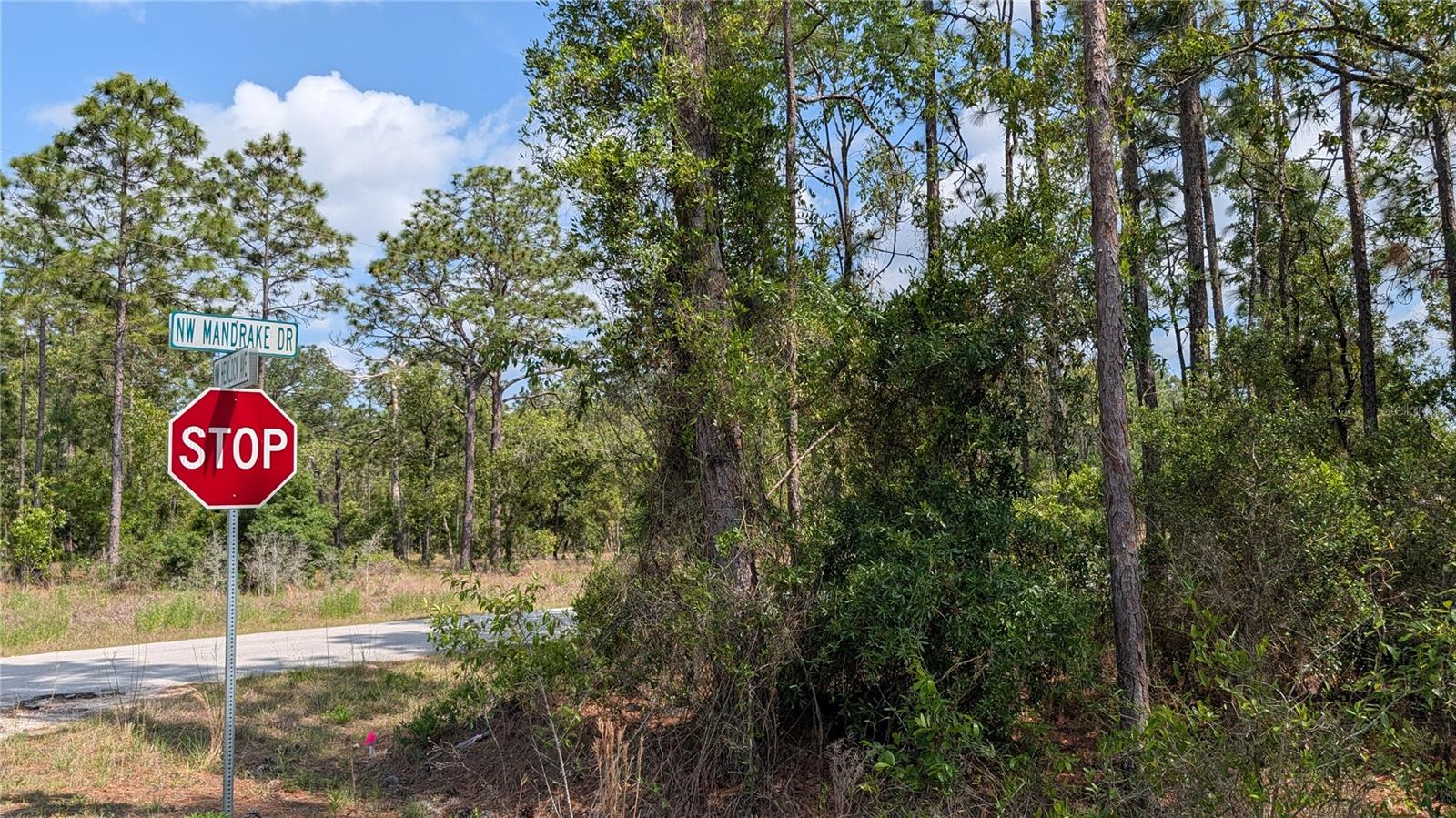 Lot 32 Nw Hemlock Ave Property Photo 6