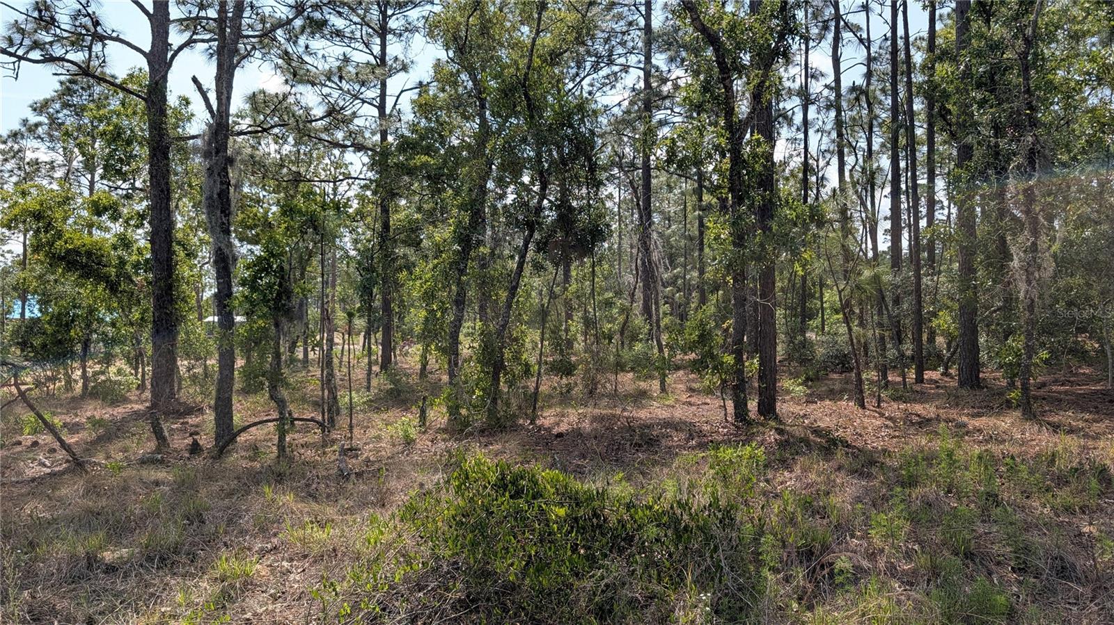 Lot 32 Nw Hemlock Ave Property Photo 8