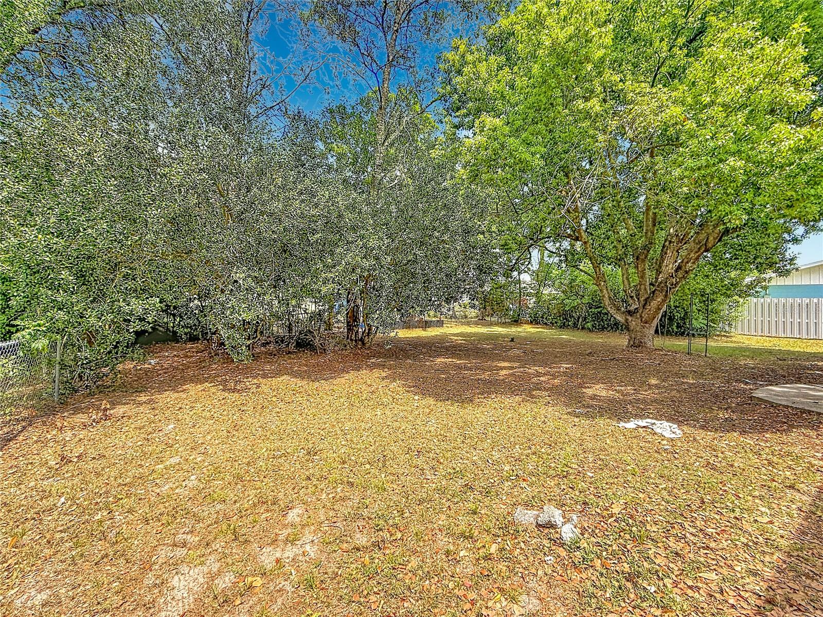 3 Bahia Place Loop Property Photo 28