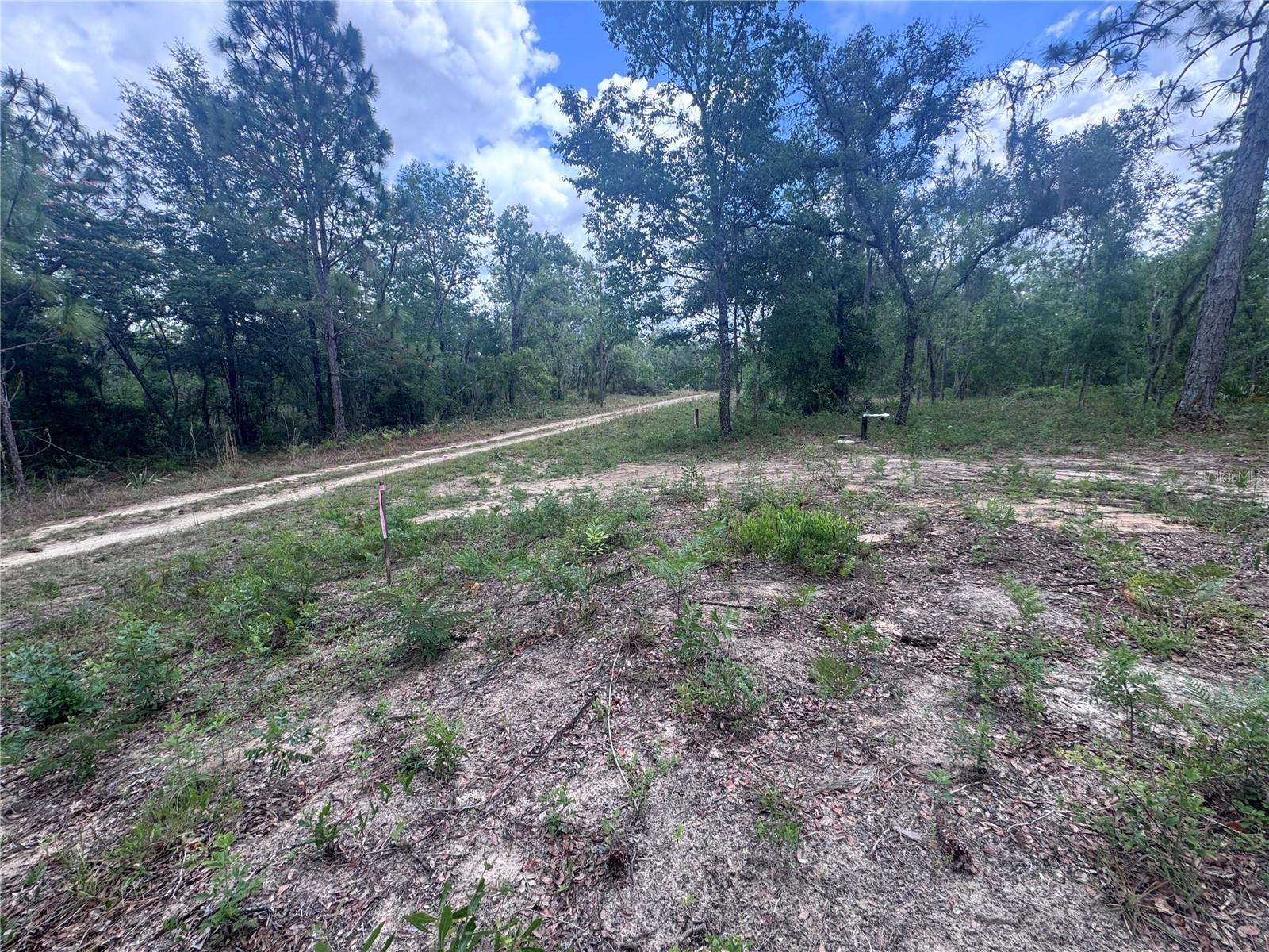 Tbd Ne 16th Pl Property Photo 6