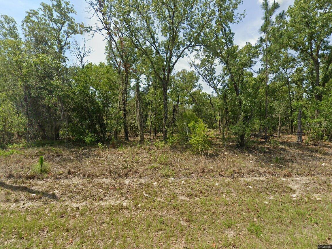 1900 W Magenta Dr Property Photo 1