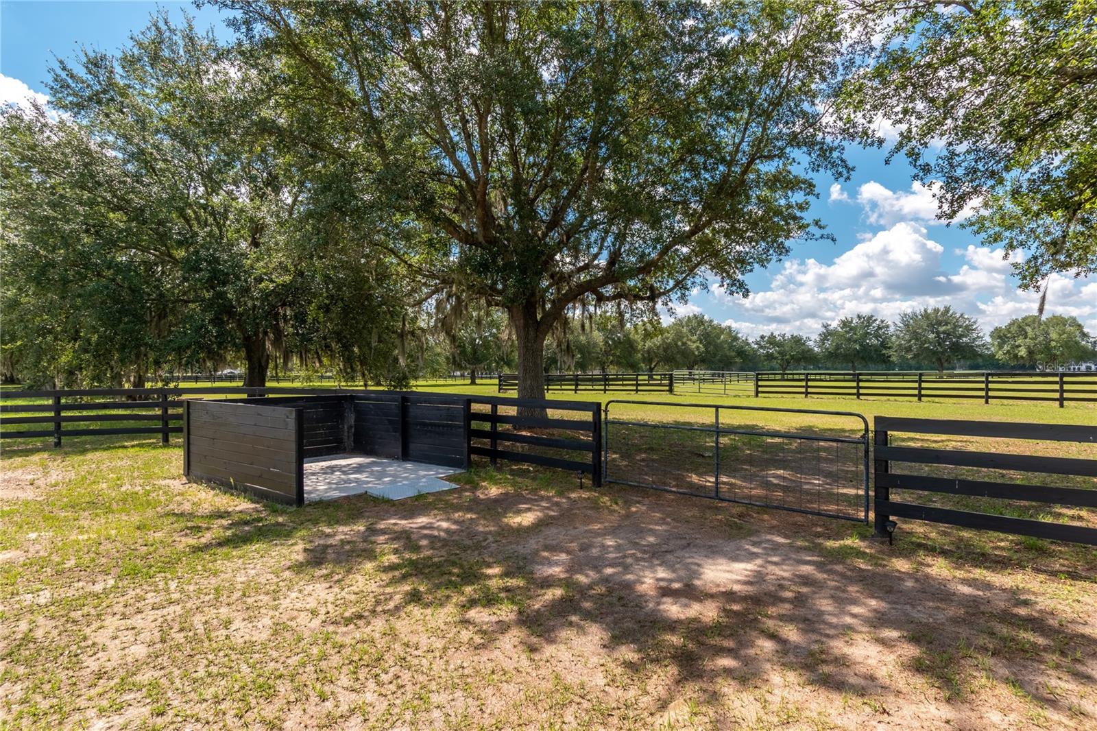 6957 Nw 54th Loop Property Photo 61
