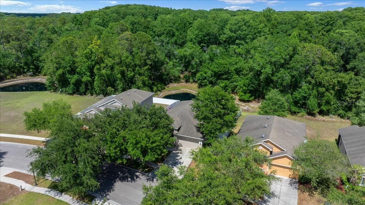12044 Colony Lakes Blvd Property Photo 41