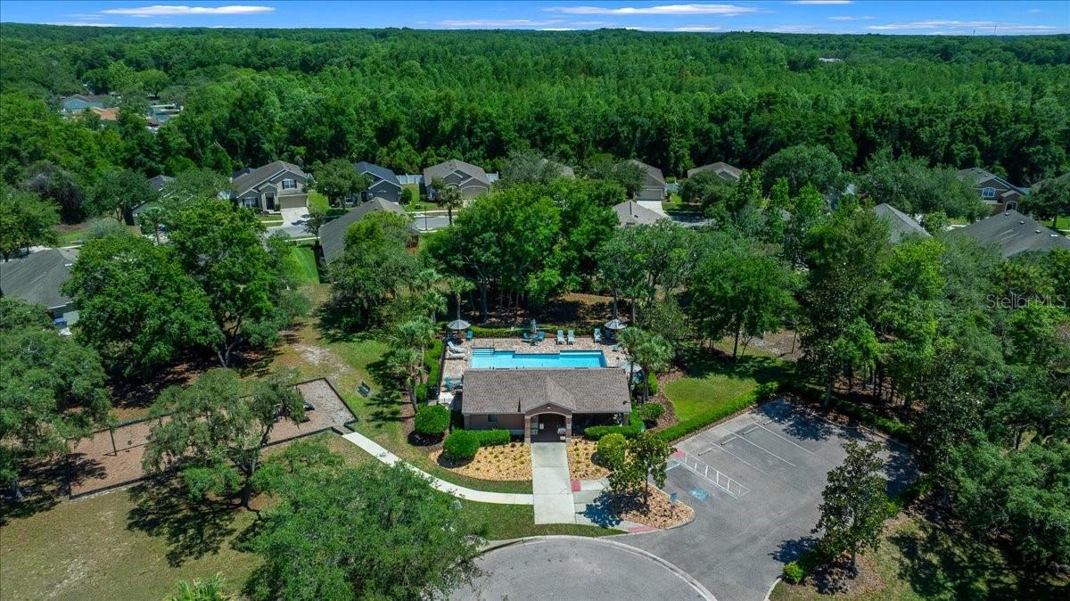 12044 Colony Lakes Blvd Property Photo 43