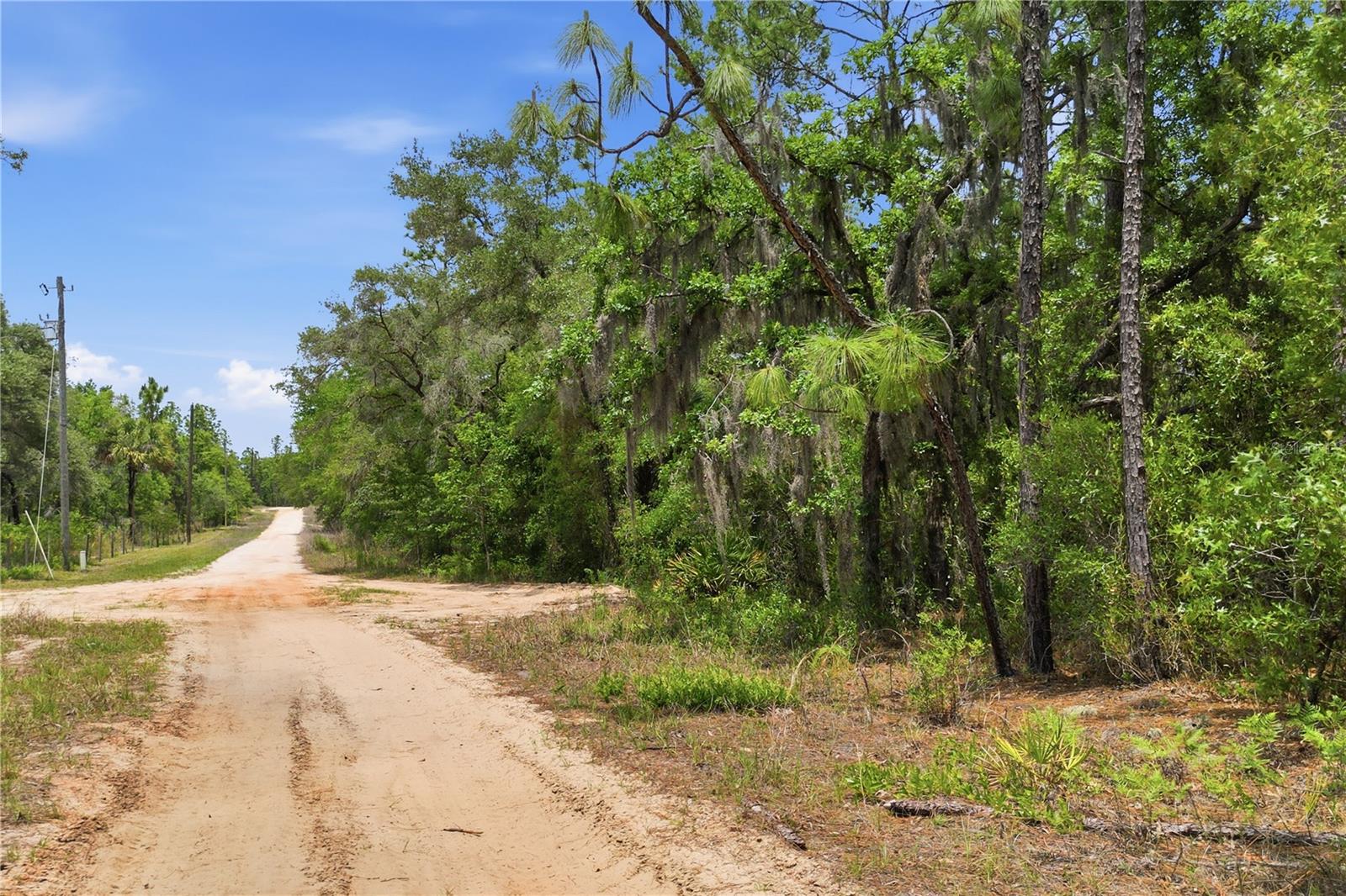 5339 N Lace Pt Property Photo 2