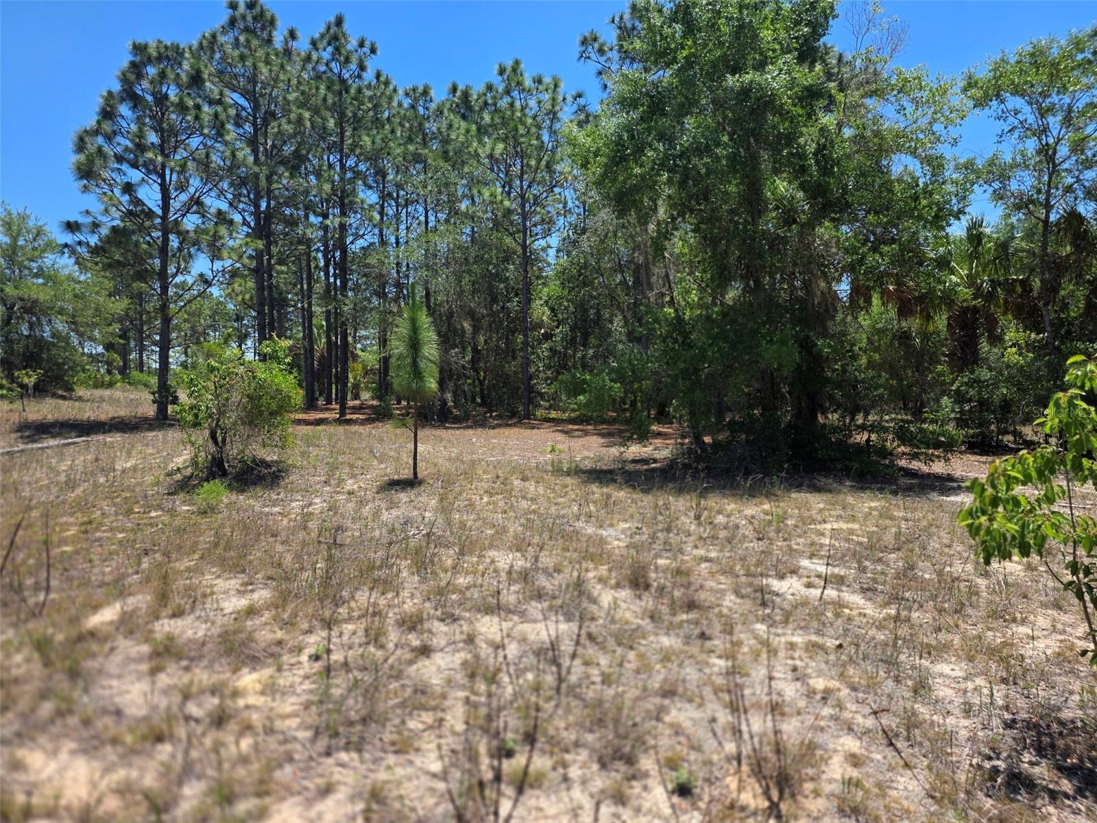 11837 N CAPTIVA TER