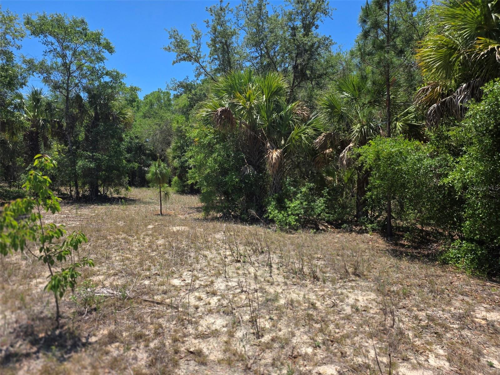 11837 N Captiva Ter Property Photo 3