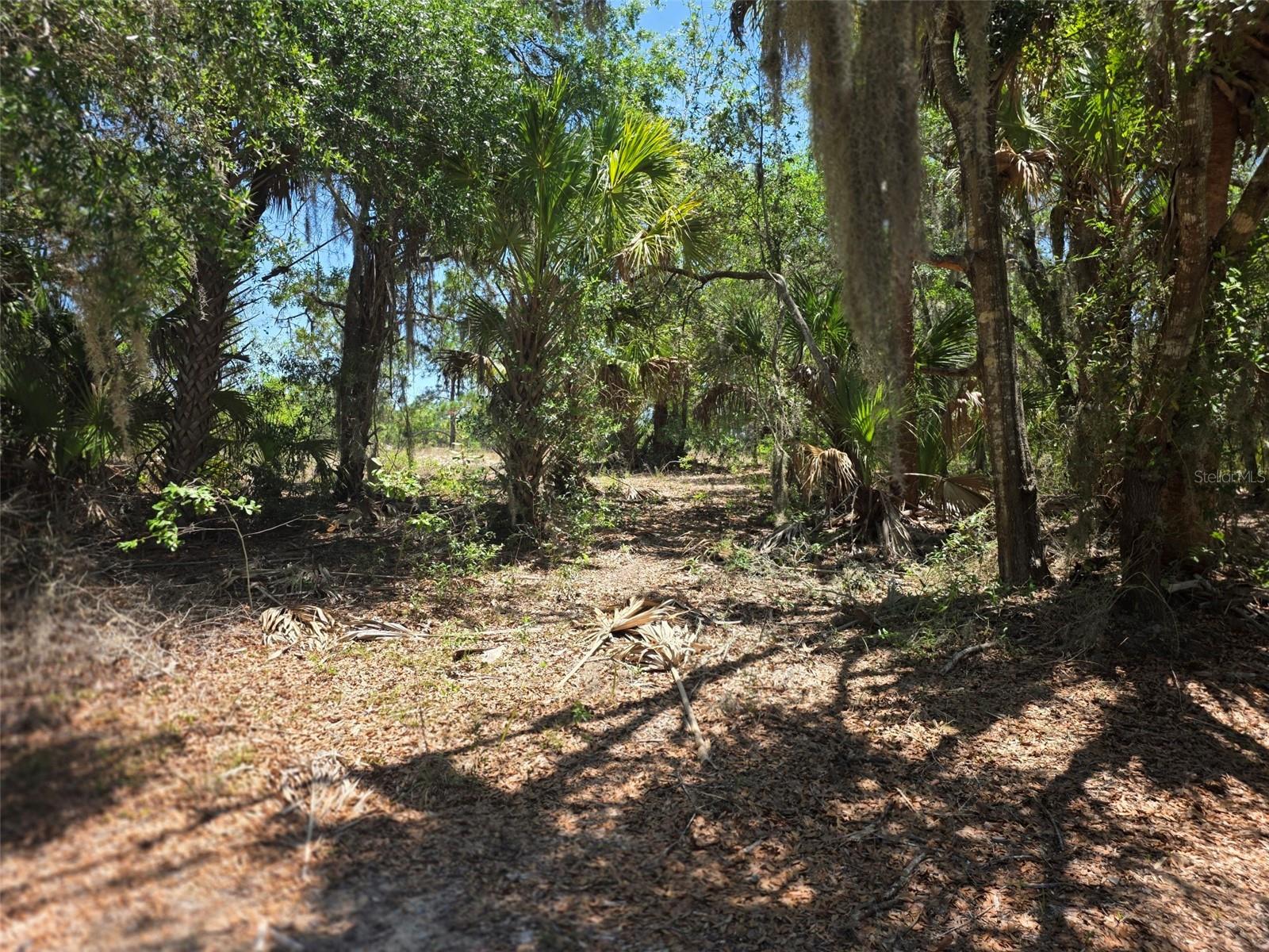 11837 N Captiva Ter Property Photo 4
