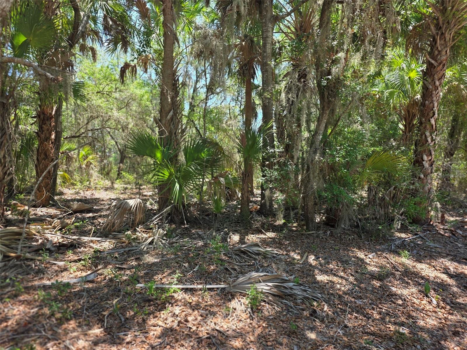 11837 N Captiva Ter Property Photo 6