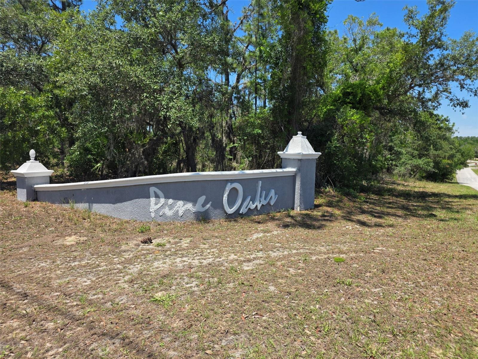 11837 N Captiva Ter Property Photo 8