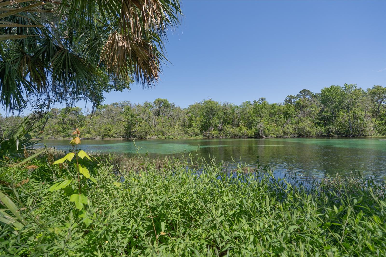 20811 Sw 81st Loop Property Photo 87