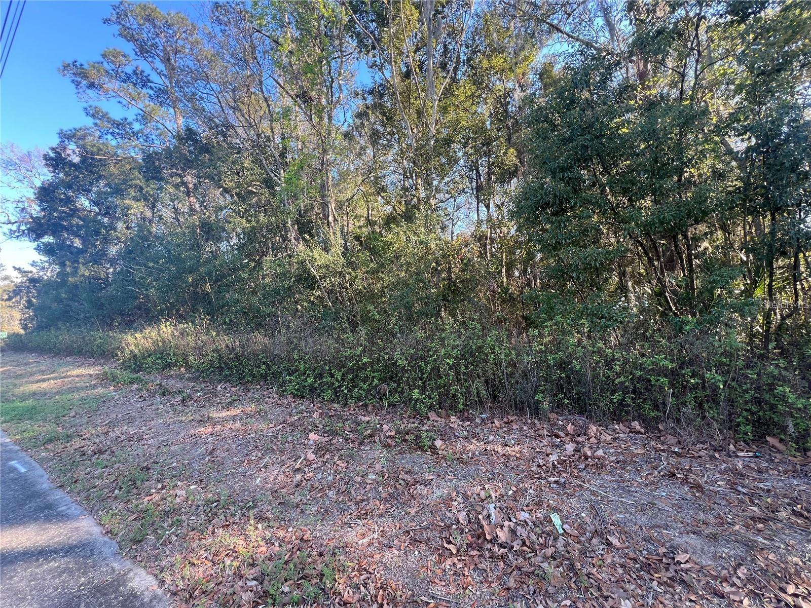 Ne 14th St Property Photo 3