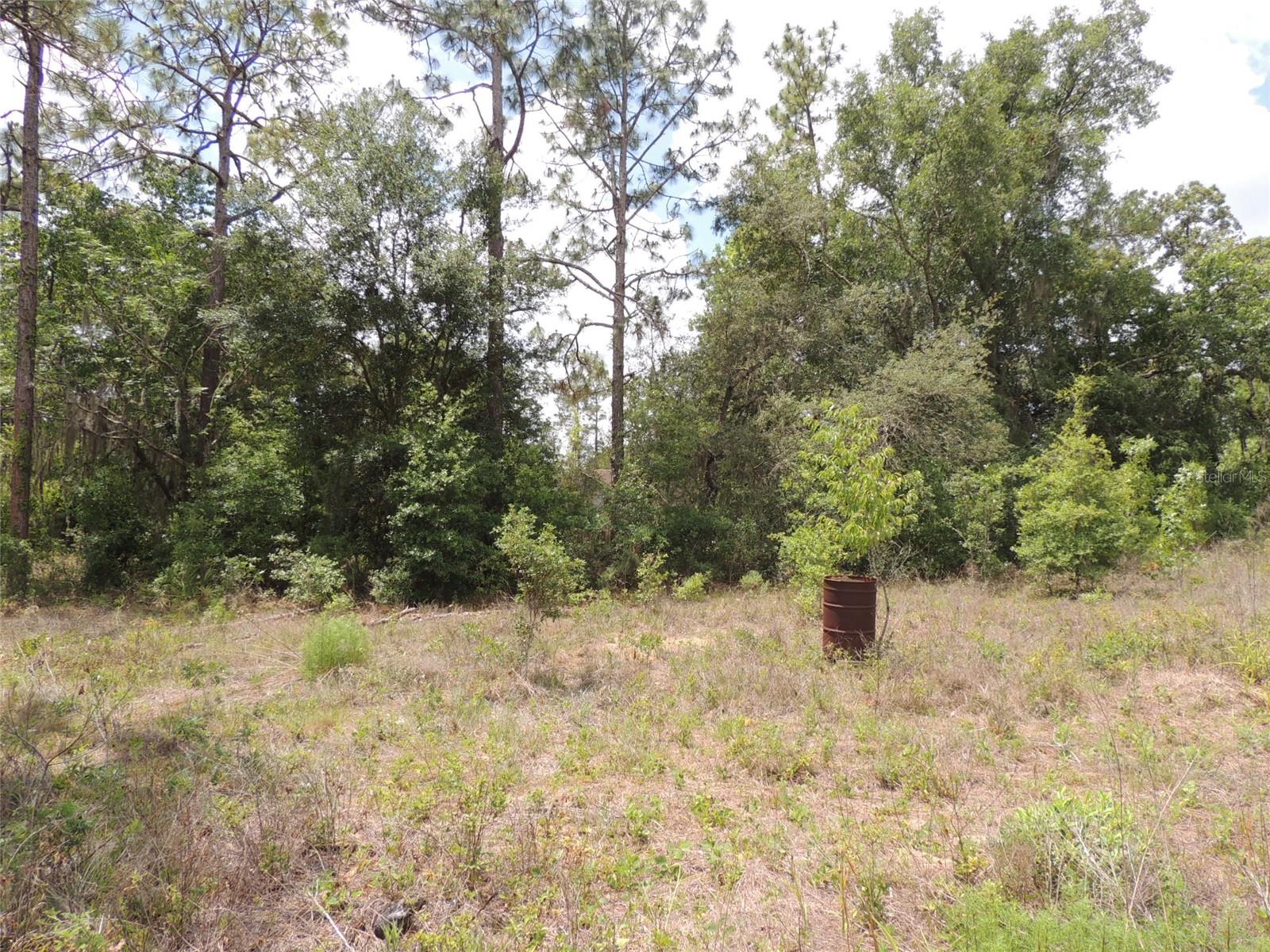 11351 Se 32nd Pl Property Photo 10