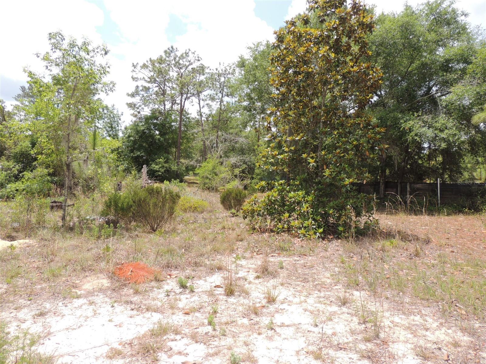 11351 Se 32nd Pl Property Photo 11