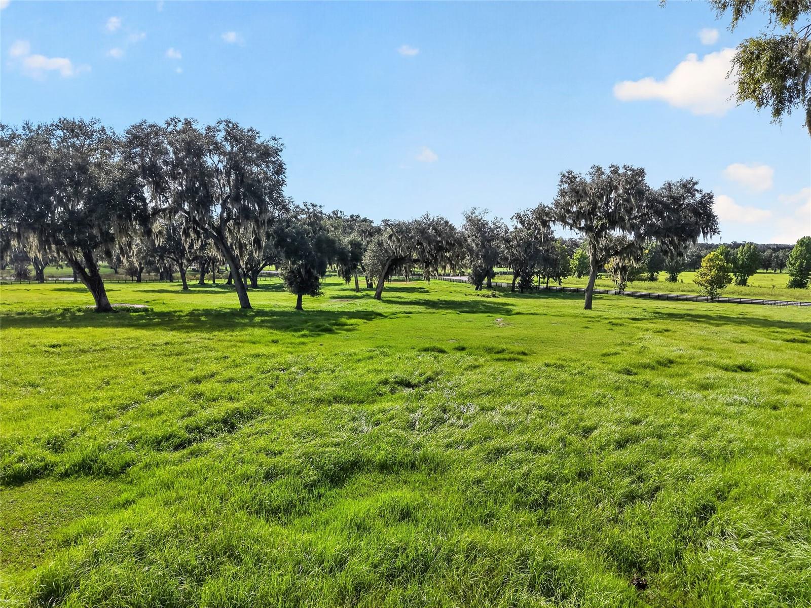Lot 25 Se 159th Ln Property Photo 6