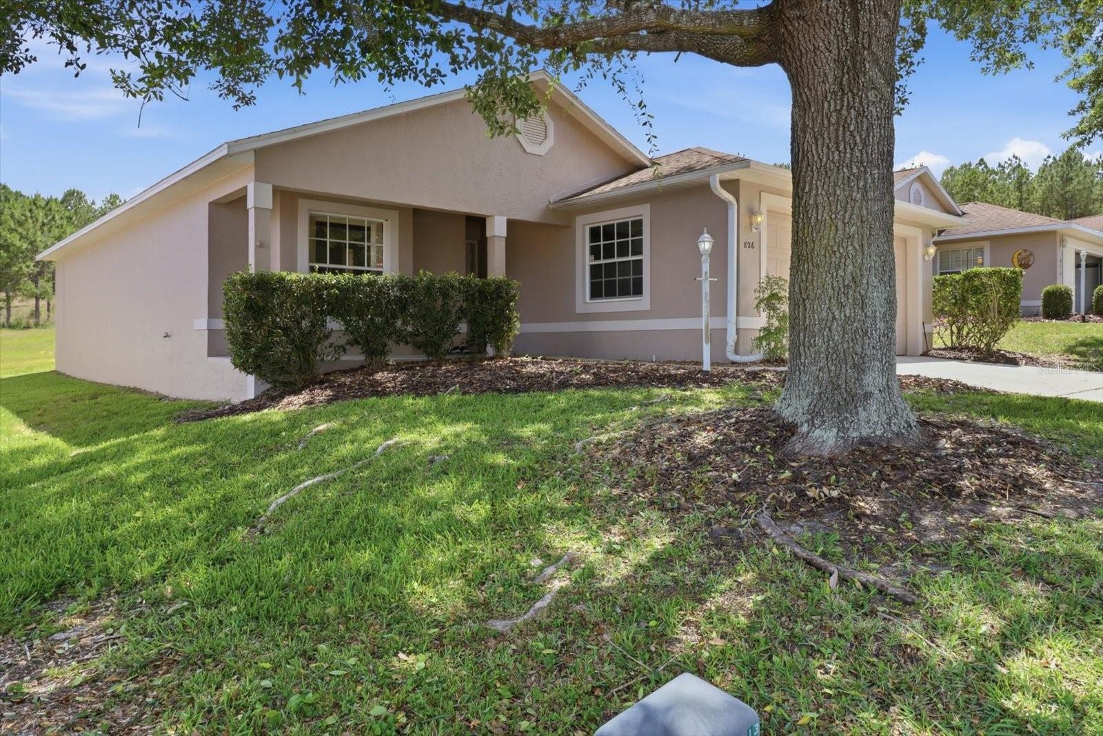 826 W Cockatiel Loop Property Photo 34