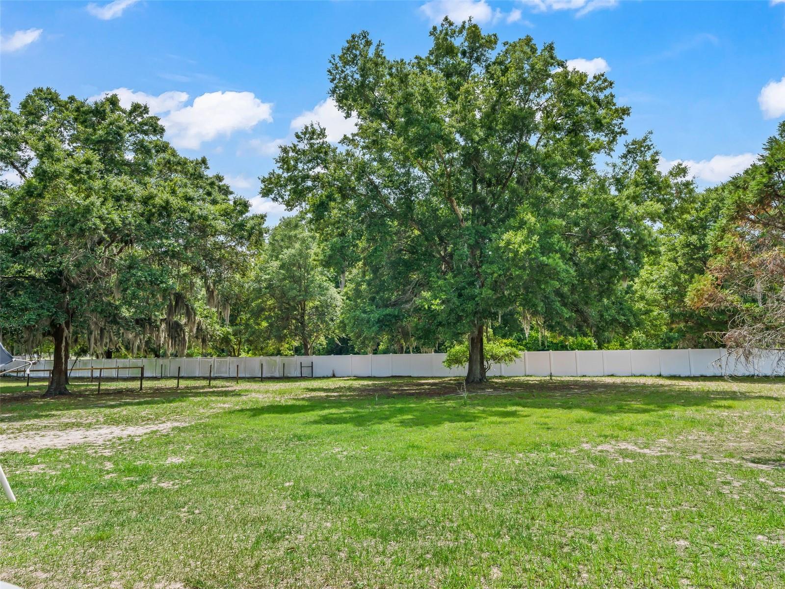 967 E Highway 316 Property Photo 22
