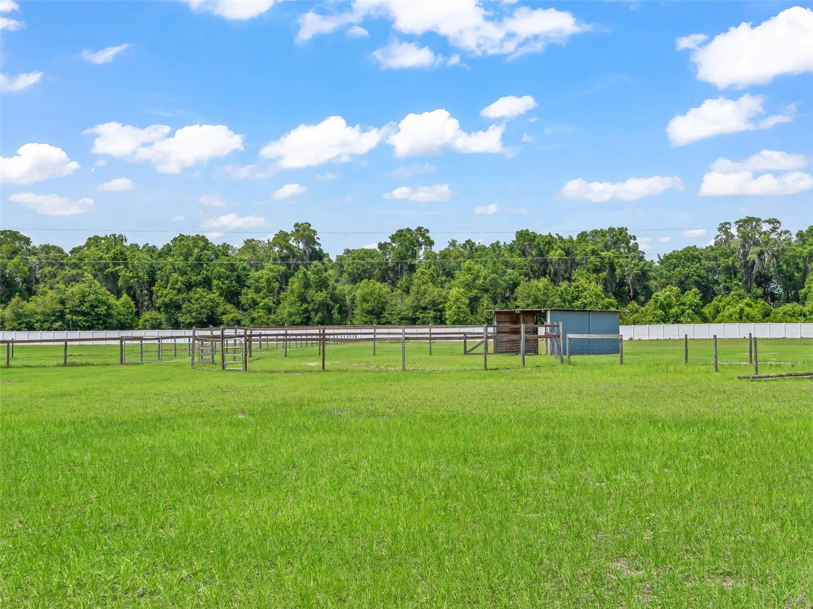 967 E Highway 316 Property Photo 28