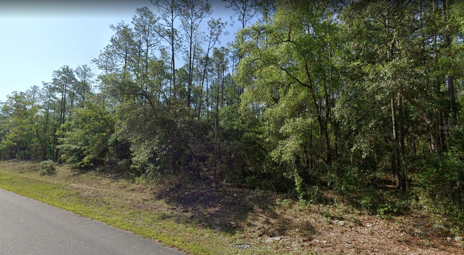 546 E BIMINI DR Property Photo 1