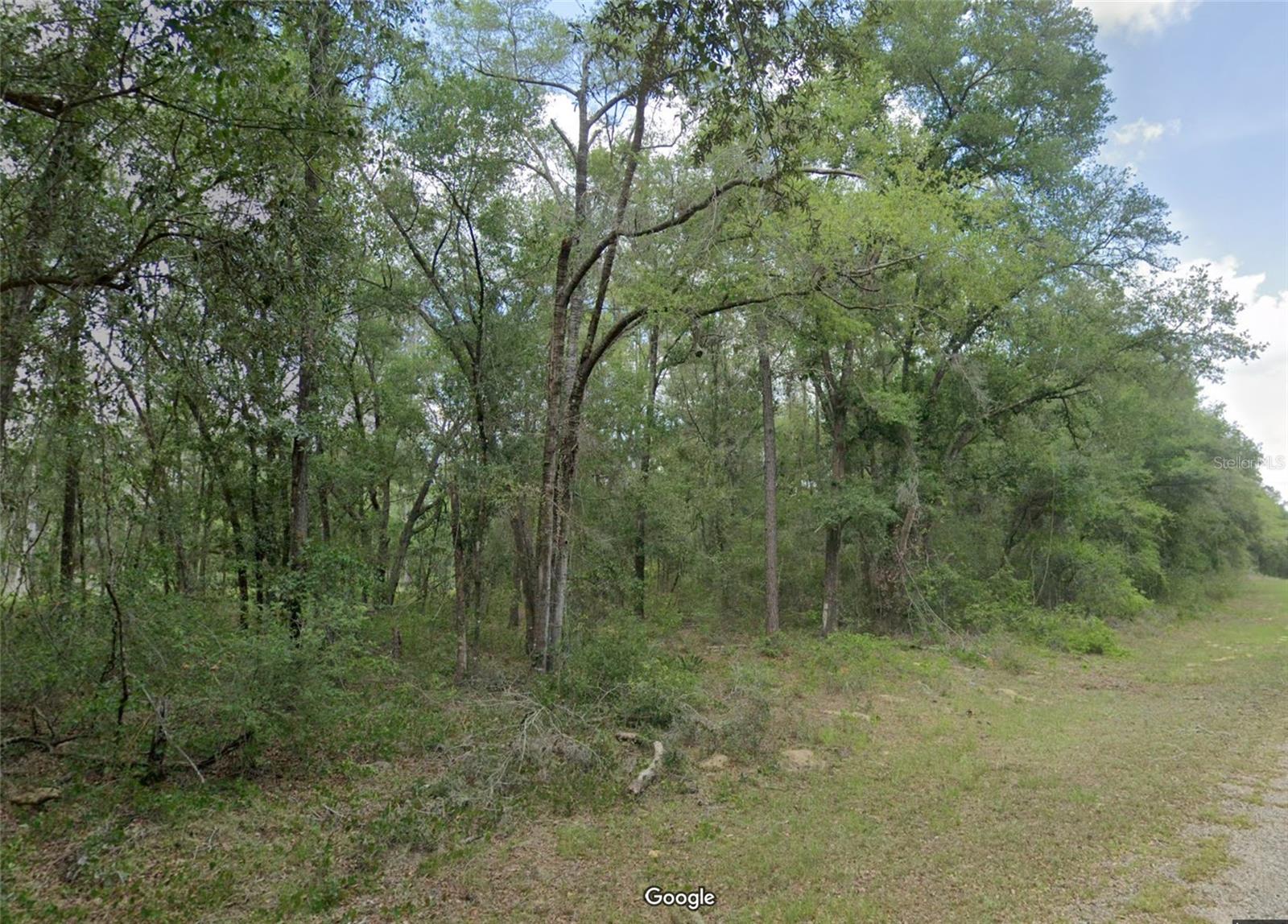 719 E BYRD LOOP Property Photo 1