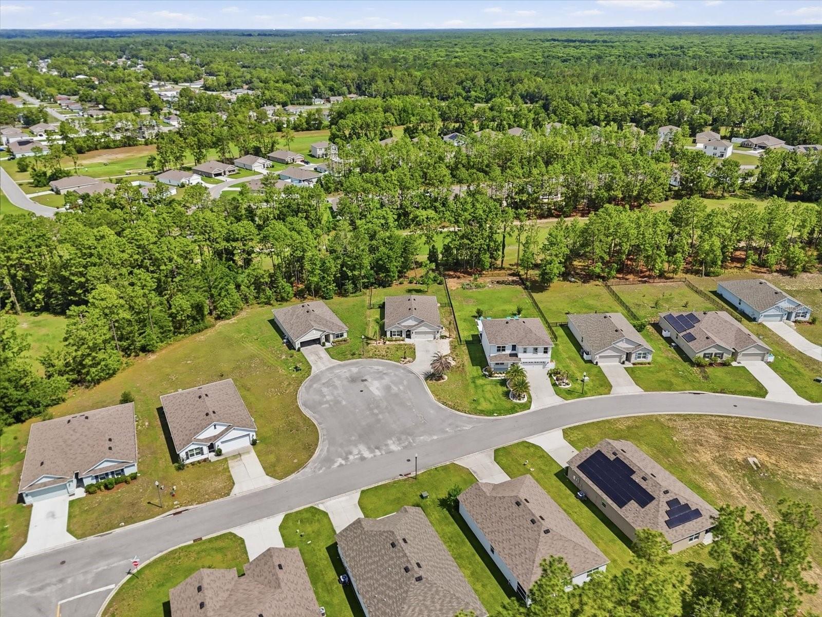 660 Hickory Course Loop Property Photo 44