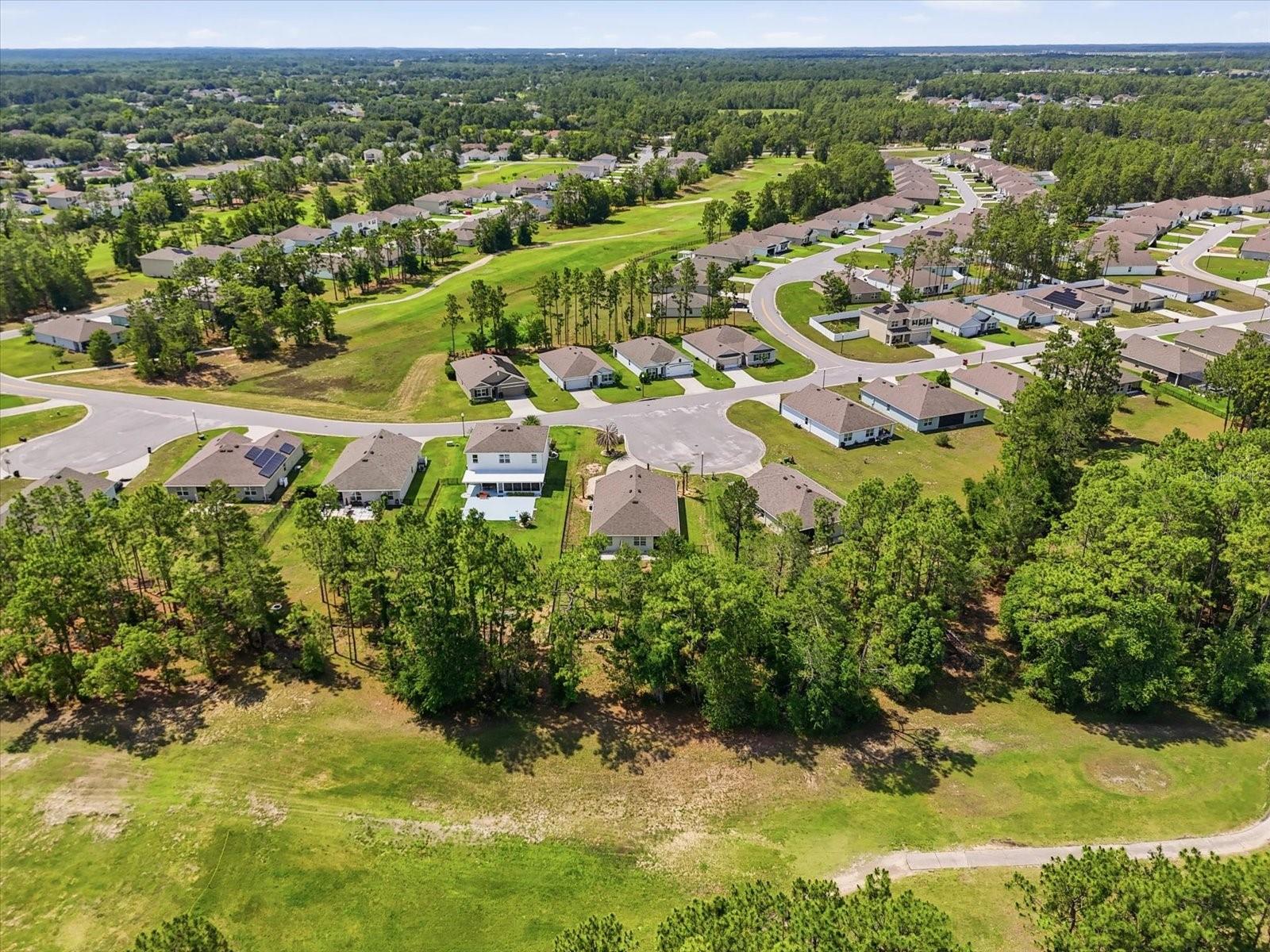 660 Hickory Course Loop Property Photo 45