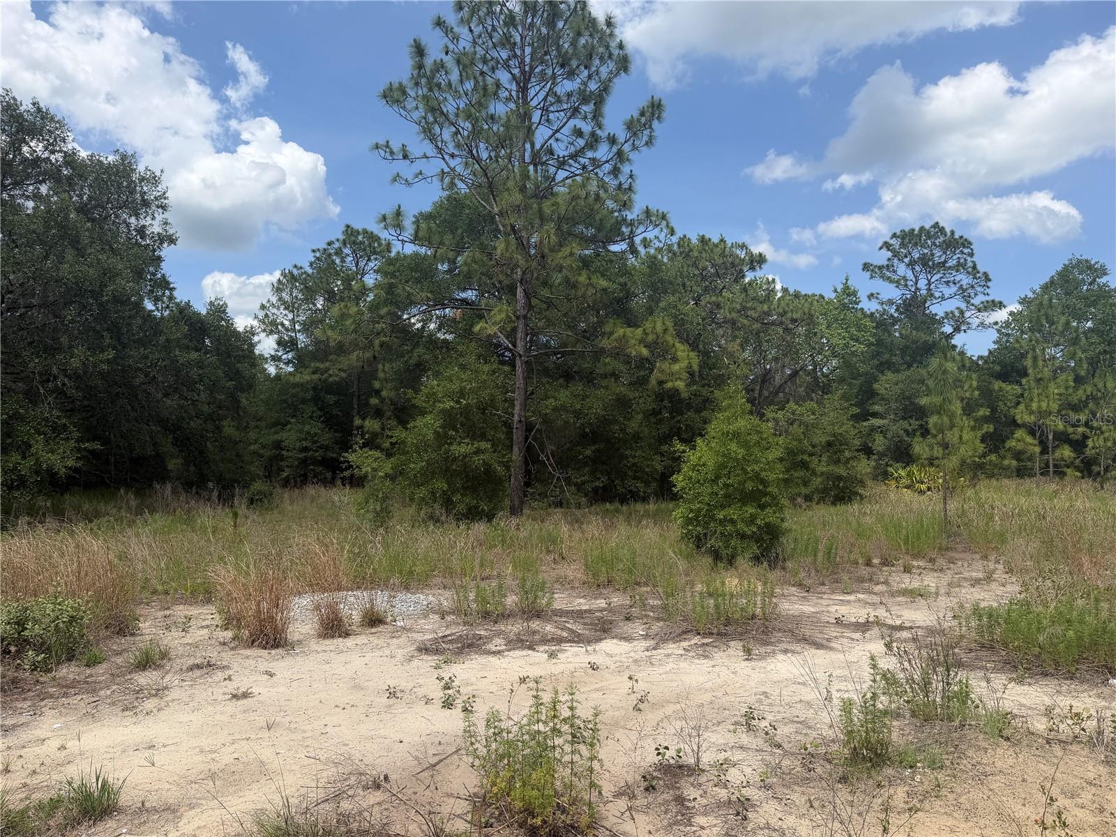 Tbd Sw 145th Ct Property Photo 3